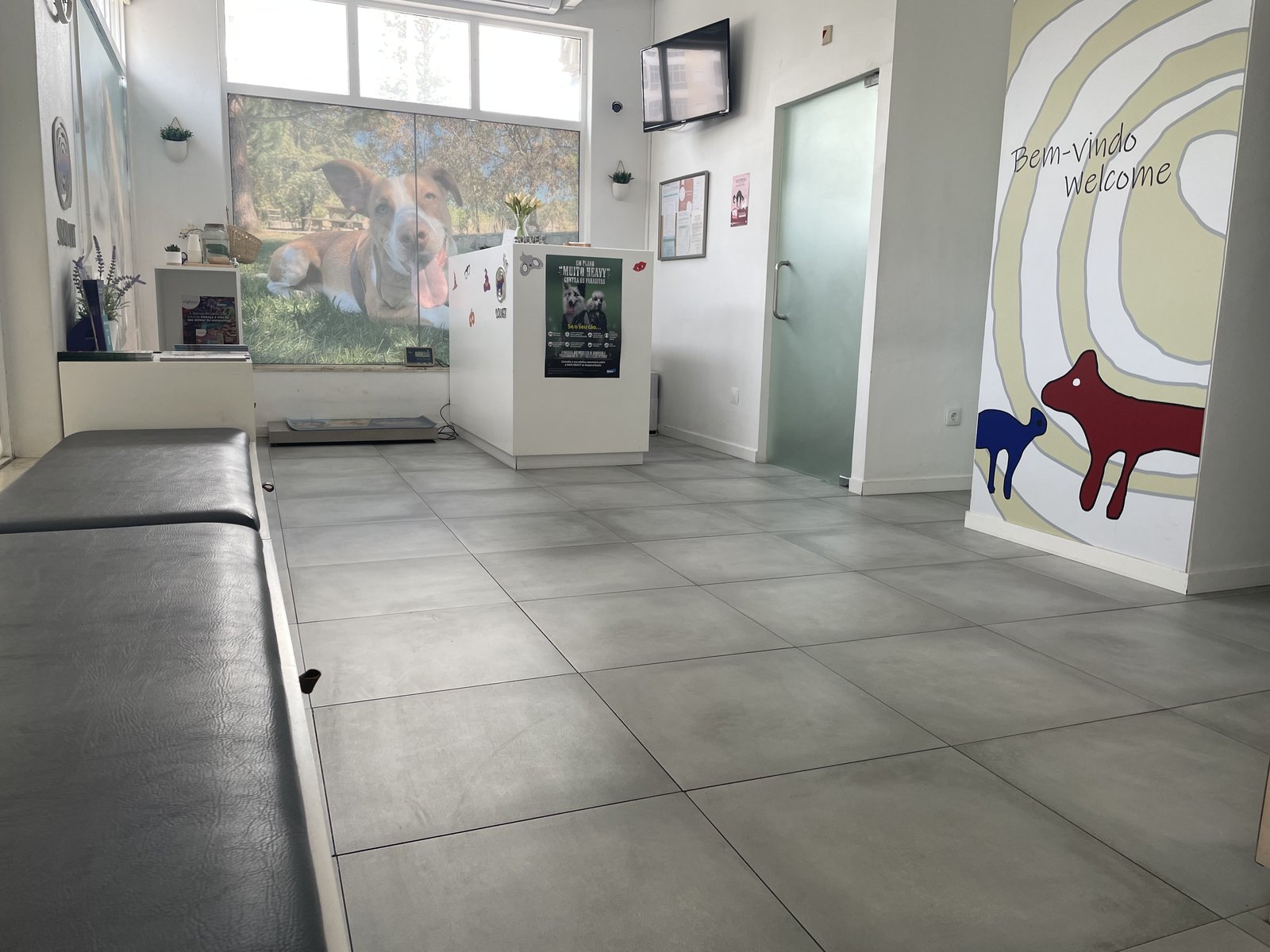Sala de espera e receção da Clínica Veterinária SOLVET no Algarve