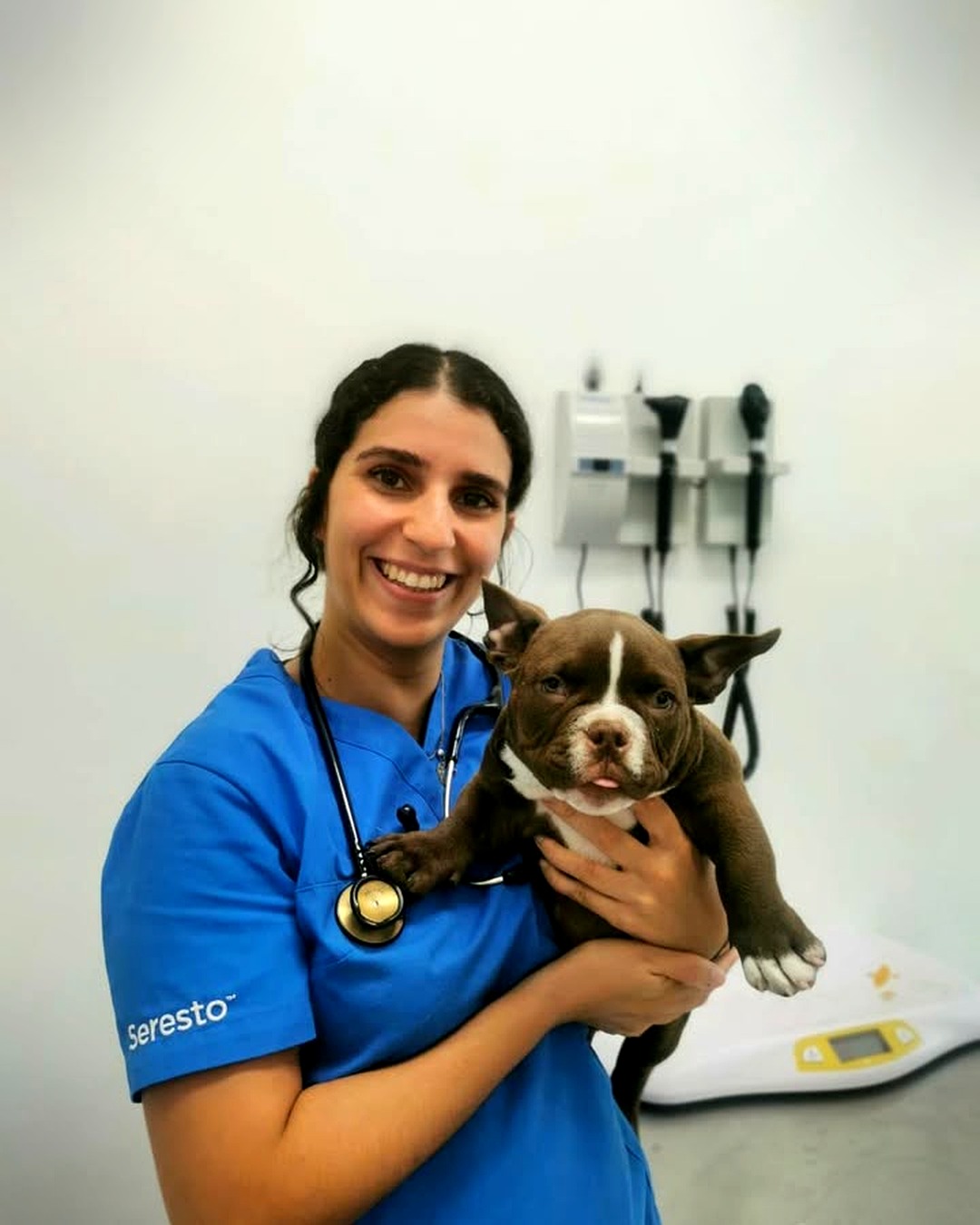 Cachorro ao colo na Clínica Veterinária SOLVET